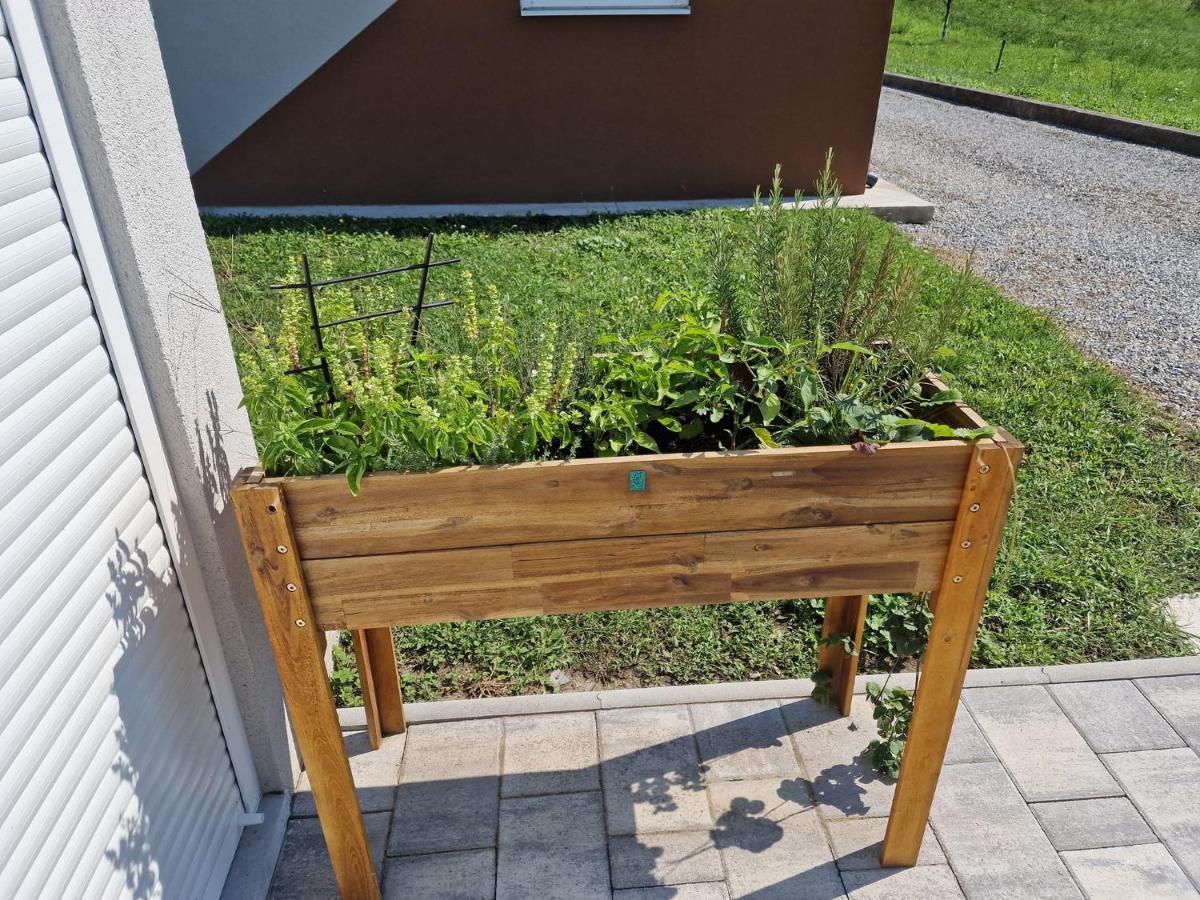 Villa Kuca Za Odmor Grasevina Kutjevo Esterno foto